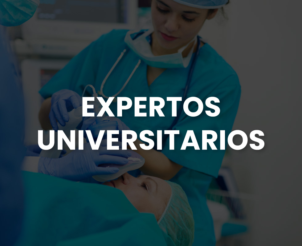 Expertos