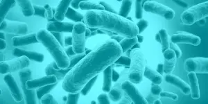 Infecciones Relacionadas con la Asistencia Sanitaria