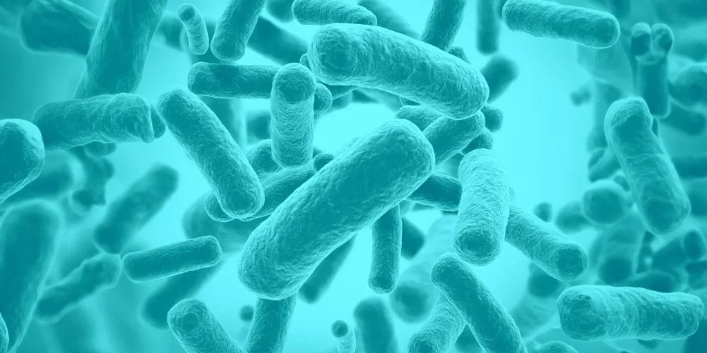 Curso Infecciones Relacionadas con la Asistencia Sanitaria
