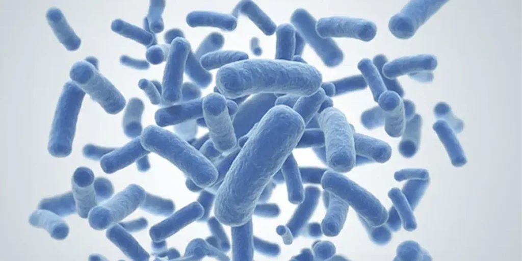 Antibioterapia Básica