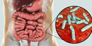 Microbiota, Probióticos y Salud Humana